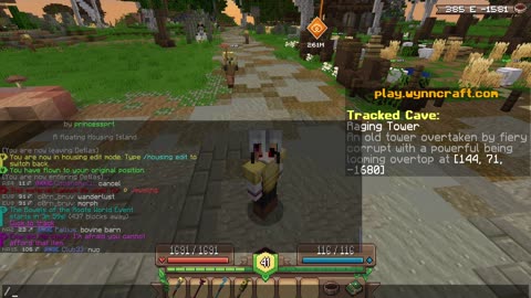 Visiting WynnCraft Again