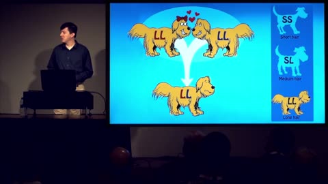 Understanding Genesis & The Cosmos