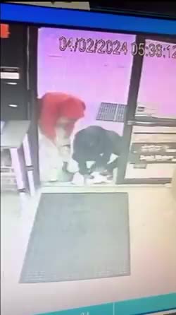 Store cat of 6 years taken from Baltimore shop.