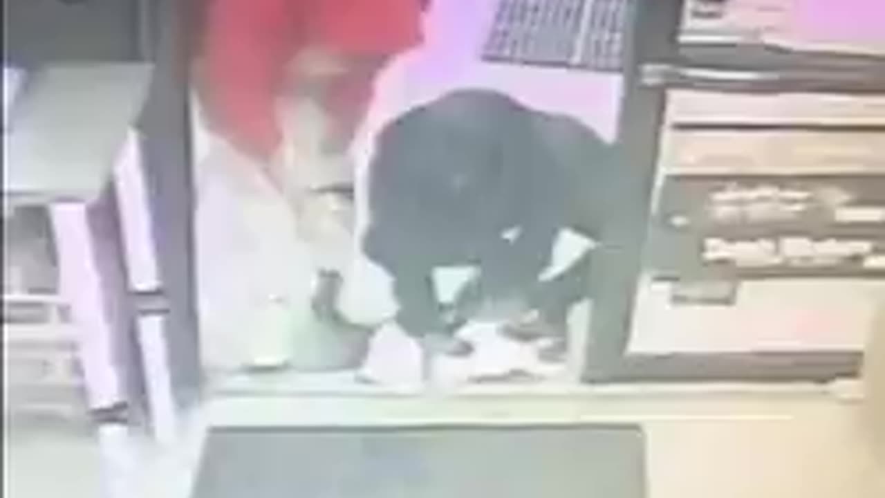 Store cat of 6 years taken from Baltimore shop.