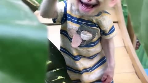 Baby monkey so happily #babymonkey #animals #monkeyvideos