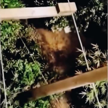 Don't wait for clarity... take action! ⚡ The first step works the miracle ✍️⏳