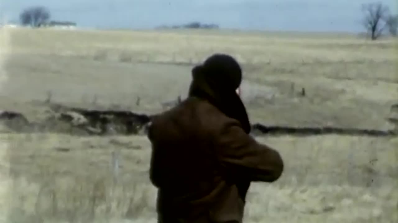 Random Shots Filmed by D.T. McCluskey