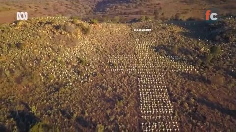 BLOODLAND 🌍 RACE HATE, POLITICS OR GREED❓ [DOCUMENTARY ON MURDER OF WHITE FARMERS IN SOUTH AFRICA [S