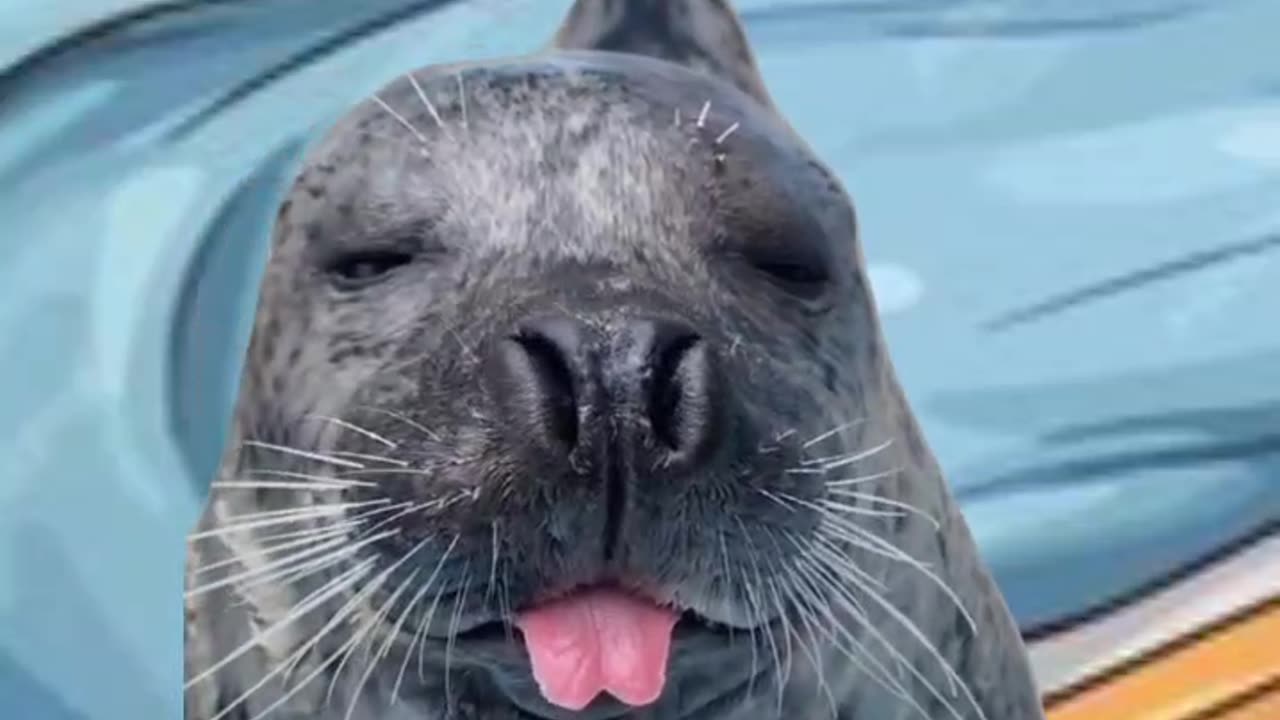 Happens All the time 😂