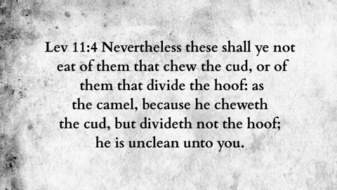 Martus Ministry -492- Unclean beasts