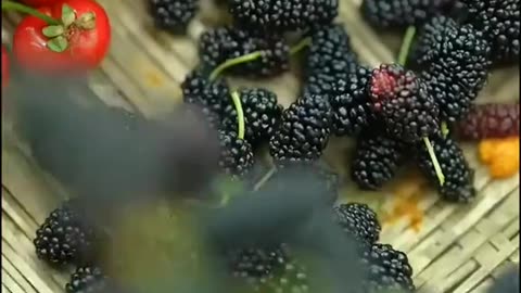 . Organic Coffee Harvest – From Farm to Cup ☕🌱