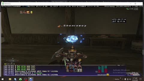 Playing Final Fantasy XI Online