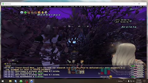 Playing Final Fantasy XI Online