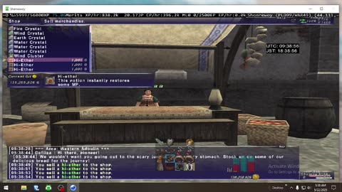 Playing Final Fantasy XI Online