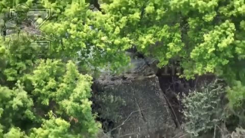 🎯💣 Ukraine Russia War | Russian Forces Target AFU 2S1 Gvozdika Artillery Near Kupiansk | RCF