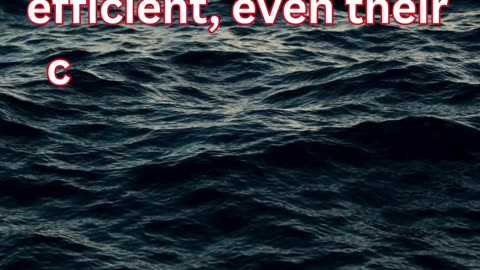 Light-Hearted Comedy Lines About World Leaders (Funny & Friendly!)