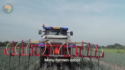 How Farmers Harvest 3.9 Million Tons of Cashew Nuts and Process Them This Way | Farming Documentary