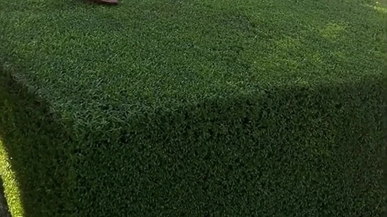 The Undisputed King of Clean Cuts 👑✂️