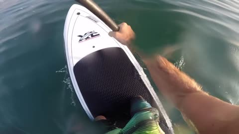 PADDLE SURFER vs WHITE SHARK ENCOUNTER