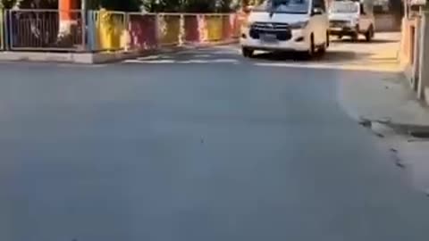 Funny video