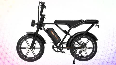 RCB G19 Electric Bike 250W Motor 48V 20.8AH Battery 20-Inch Electric Bike