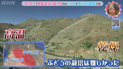 チコちゃんに叱られる！ ▽ストローの謎▽フクロウの謎▽傘マークの謎