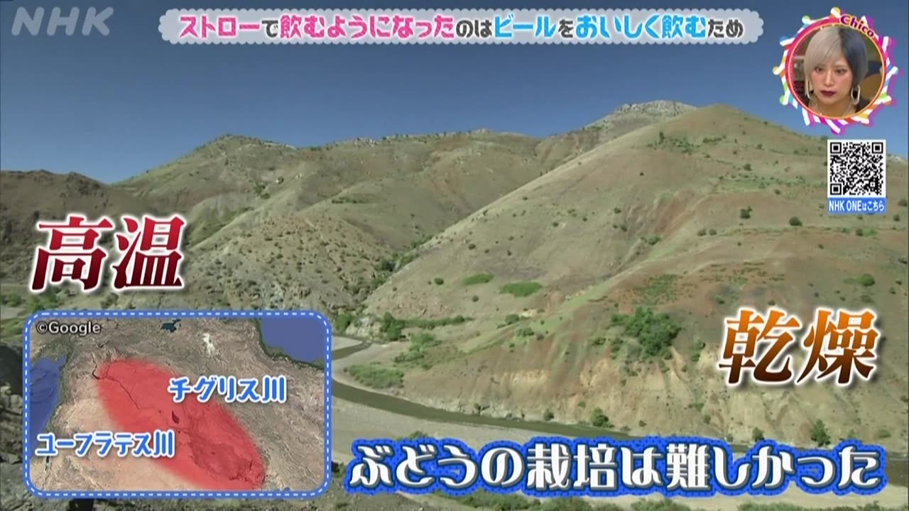 チコちゃんに叱られる！ ▽ストローの謎▽フクロウの謎▽傘マークの謎