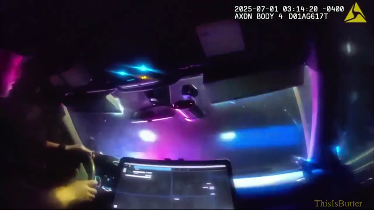 Detroit men who stole tires from a vehicle, led police on a chase that injured two officers