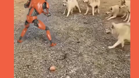 wolf pack and robot 🐺🤖️