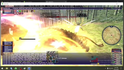 Playing Final Fantasy XI Online