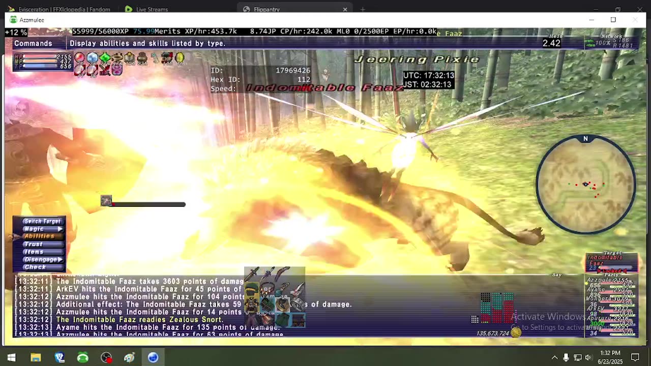 Playing Final Fantasy XI Online