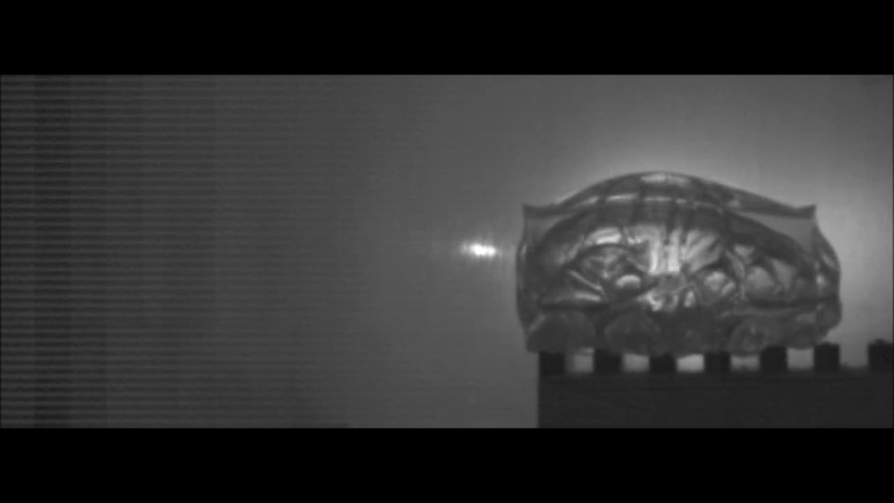 Slow Motion 308 Winchester Federal 150gr Fusion JSP