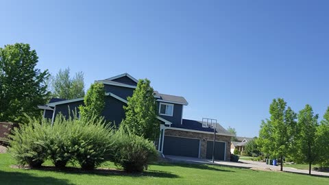 Bush Prune 06/02/2022