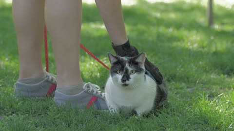 Cute Animal Ep70
