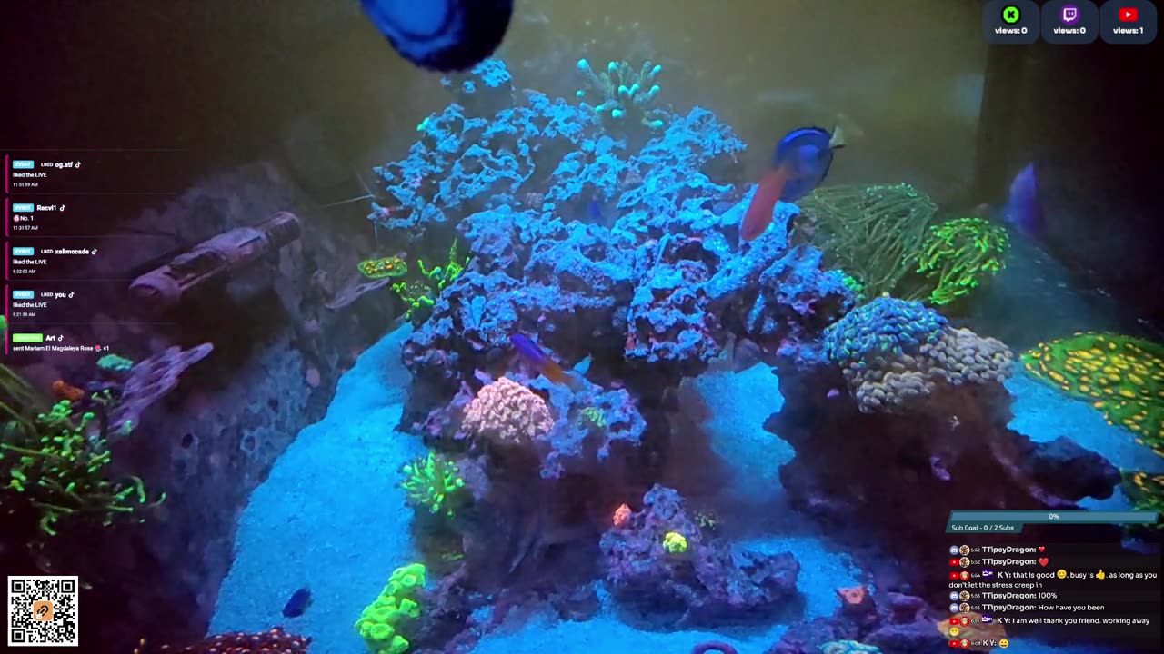 24/7 Real Live Reef Stream
