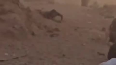 Israeli forces opened fire on starving Palestinians seeking humanitarian aid