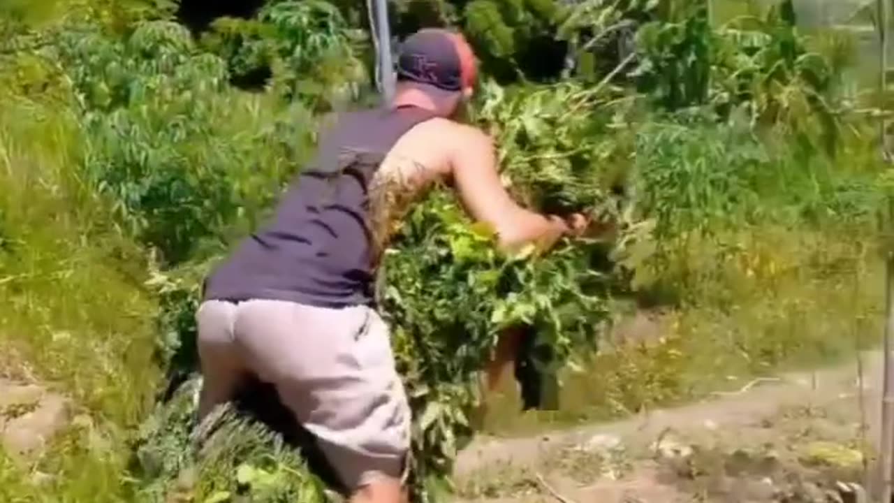 "Unexpected Fumble Caught on Camera 😂 | Must-Watch Funny Moment!"