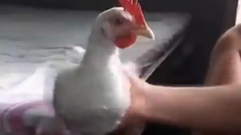 Satisfying