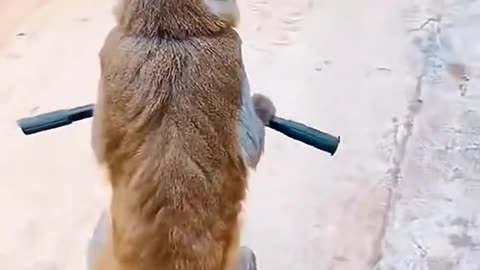 It's fun