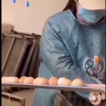 🥚 ARTIFICIAL EGGS