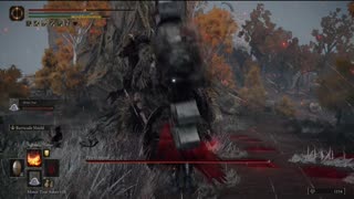 Elden Ring NG+1 | Putrid Avatar of Dragonbarrow boss fight w/Mimic Tear #eldenring #eldenringbosses