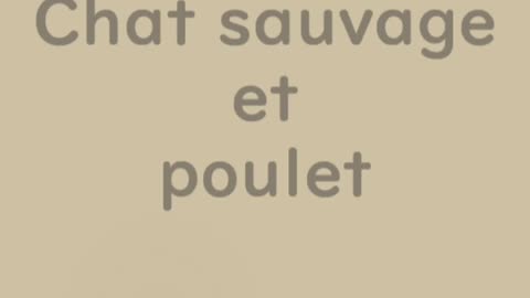 Chat sauvage et poulet - Huhito Fables-Version française Vol.28