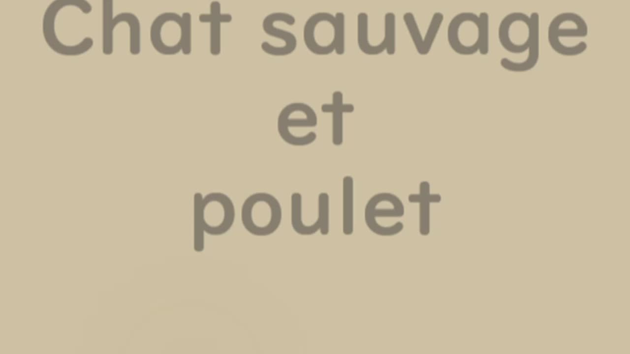 Chat sauvage et poulet - Huhito Fables-Version française Vol.28