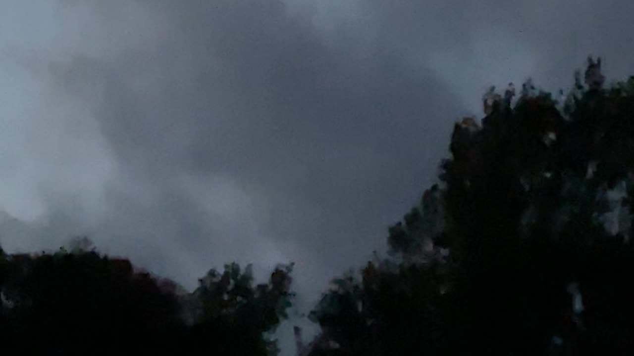 Moon goes behind clouds morning rooster crows birds locusts
