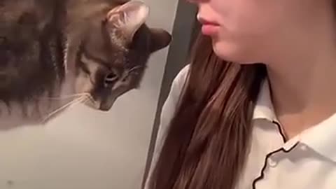 😱🐱 Cat Left in Disbelief! | FunFM