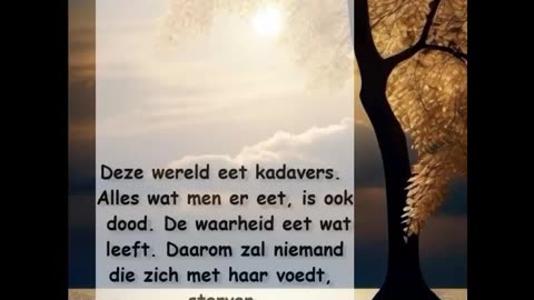 Deze wereld eet