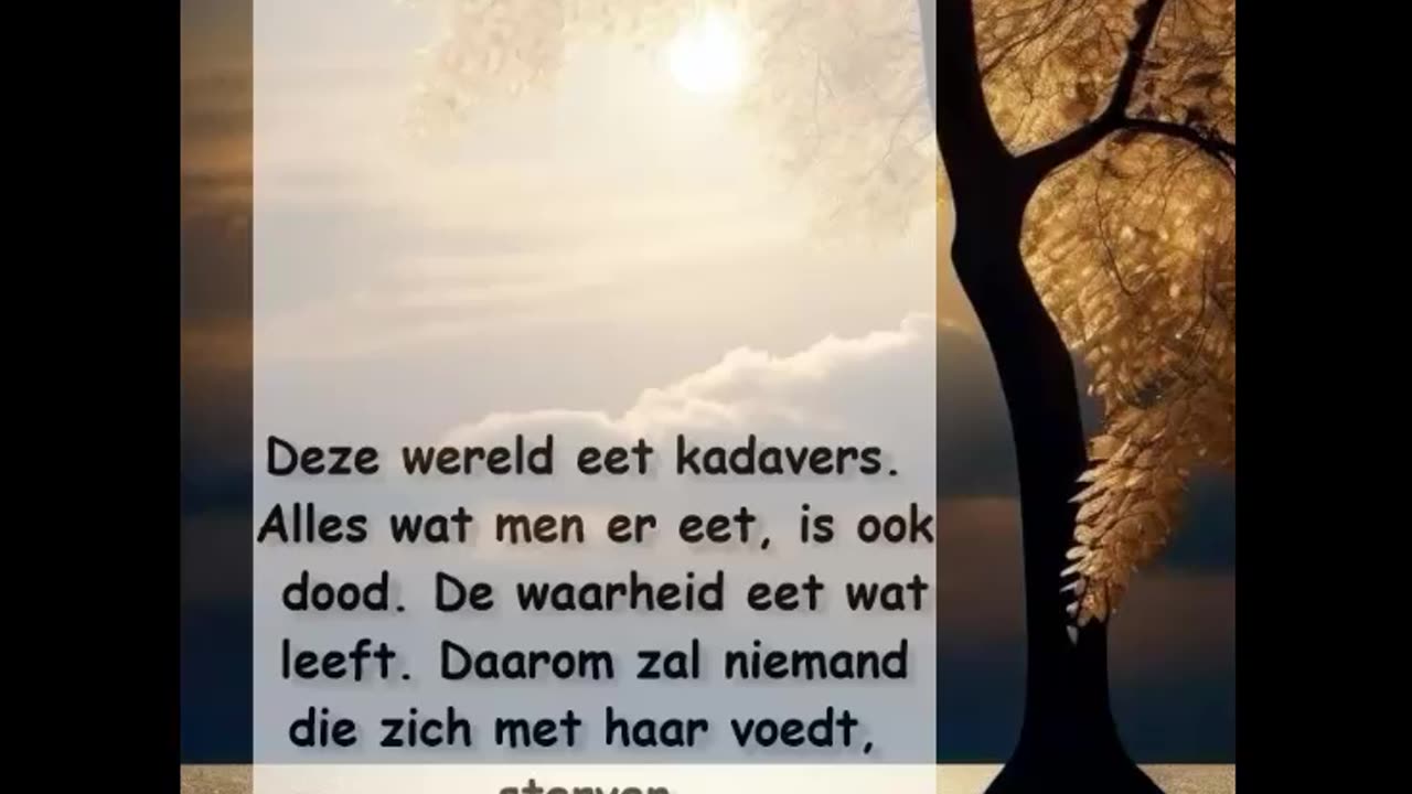Deze wereld eet