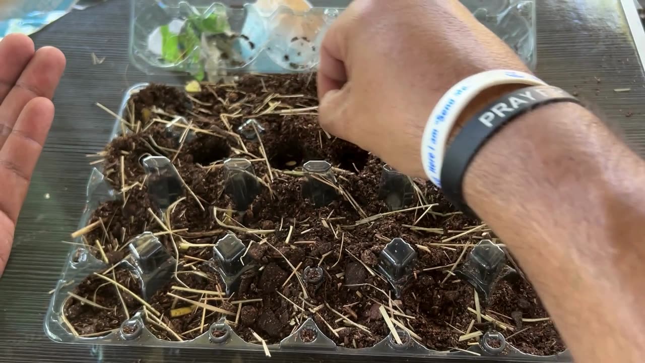 Starting My Garden