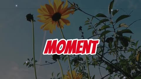 “Stop Waiting for Motivation — Do It NOW!”