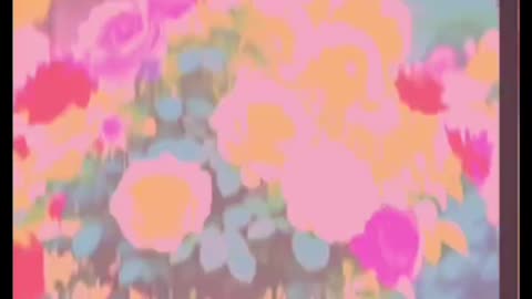 Beautiful video
