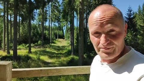 Das Wesen des rettenden Glaubens
