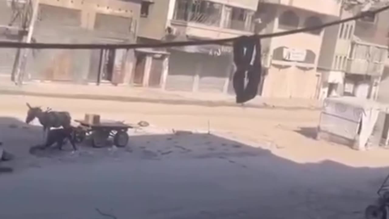 Ga_za | A young man and his donkey trapped under a hail of bullets