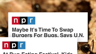 What would we possibly do without their so-called journalism? 🙄 Good Riddance!