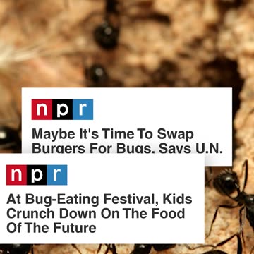 What would we possibly do without their so-called journalism? 🙄 Good Riddance!